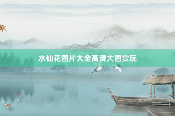 水仙花图片大全高清大图赏玩