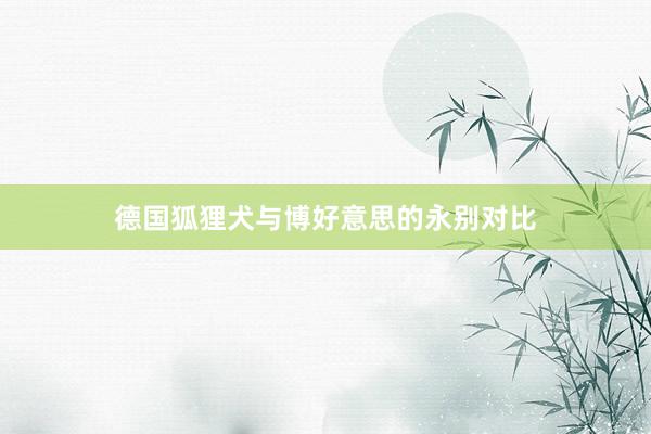 德国狐狸犬与博好意思的永别对比